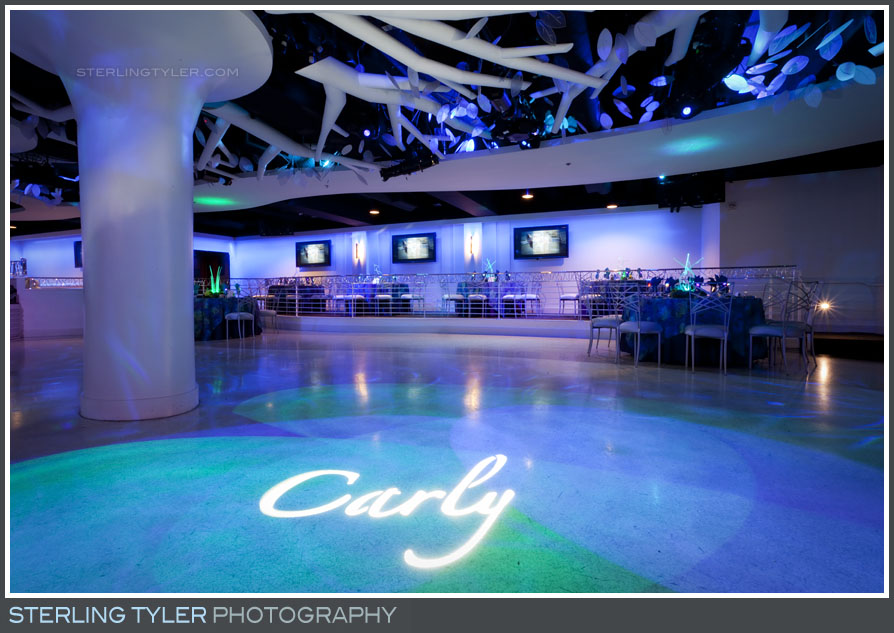 The Celebrations by Turnip Rose Bat Mitzvah Reception Photography 