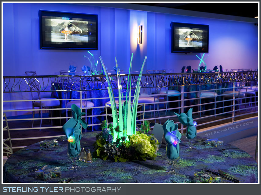 The Celebrations by Turnip Rose Bat Mitzvah Reception Photography 