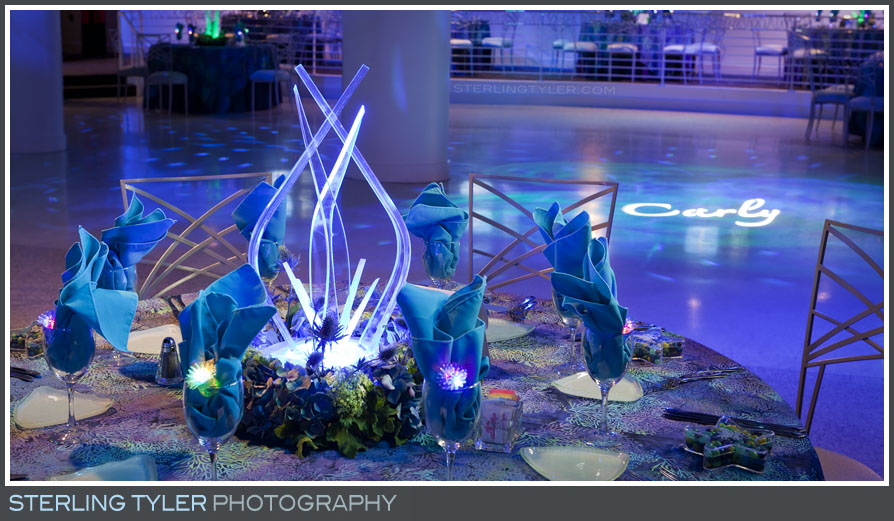 The Celebrations by Turnip Rose Bat Mitzvah beach Themed Reception Photos 