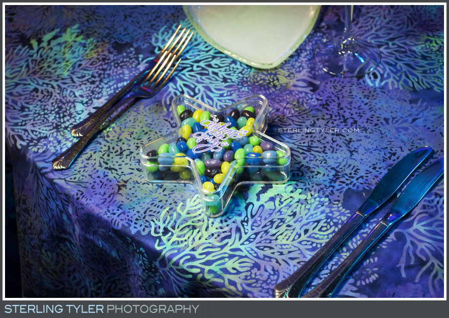 The Celebrations by Turnip Rose Bat Mitzvah Reception Photography 
